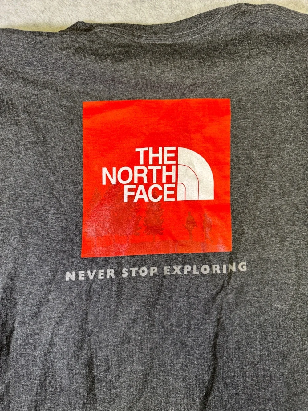 The North Face Charcoal Short-Sleeve Tee with Red Logo Patch
